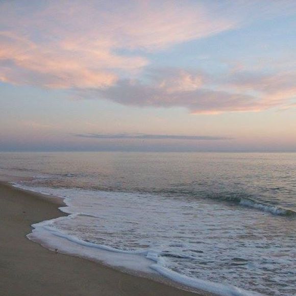 Meet your Posher, Lisa - Picture 1 of 1